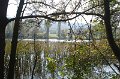 80 Hohenauer Teich im Gegenlicht